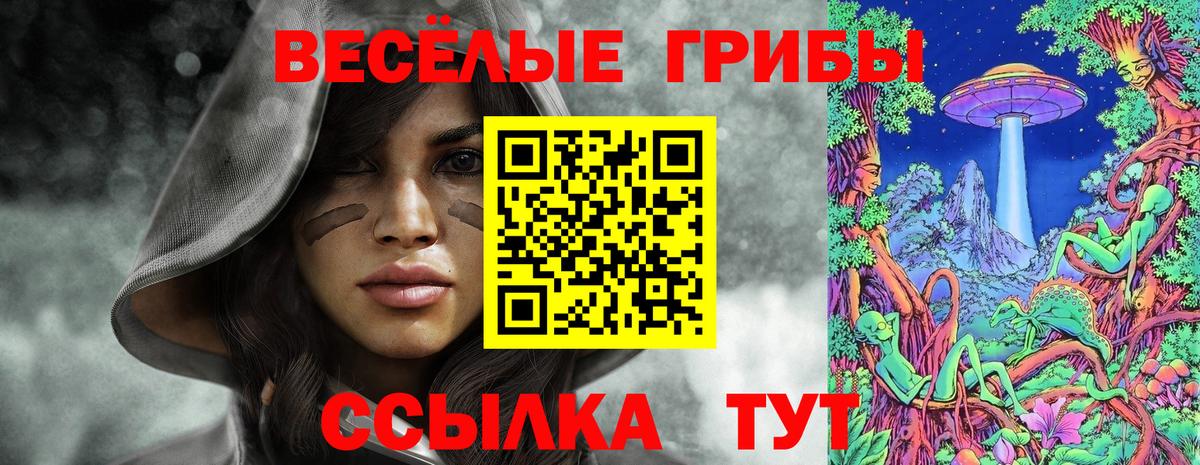 Псилоцибиновые грибы мухоморы  Галлюциногенные грибы GOLDEN TEACHER  Черняховск  Вход с VPN 